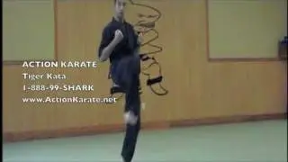 Action Karate Pennsylvania/New Jersey Tiger Kata