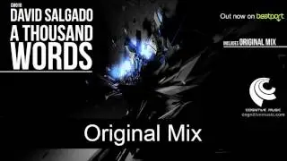 David Salgado - A Thousand Words (Original Mix) 