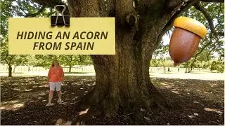 Hiding an Acorn from Spain