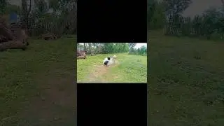 400+speed for water bottle 🍾 rocket 🚀 easy science experiment #shorts