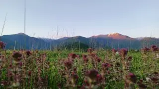 Qabal El Oqlanlarinin 1 may Şenliyi .1.04.2023