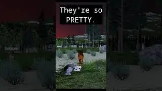 Grieving for pretty wolves.. #wolfquestsaga #oneregret #regrets