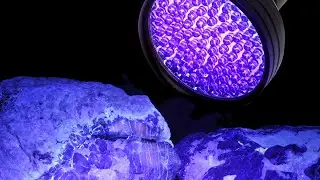 Демонстрация фонарика GearLight UV Black Light XR98