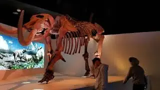 Houston Museum of Natural Science