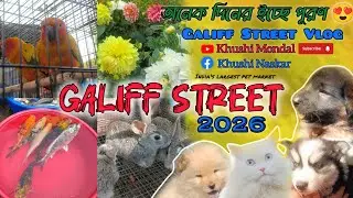 || Galiff Street Pet Market 🐶🐱 || অনেক দিনের ইচ্ছে পূরণ 😍 || Galiff Street Vlog 💥 || 