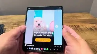 VEGO Galaxy Z Fold 5 Case w/ S Pen Holder, Hinge Protection, Screen Protector (GREAT BUDGET OPTION)