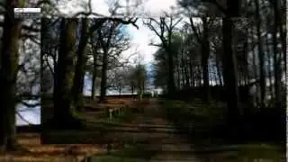 Ricks Tree Service Malvern PA