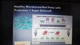 Fish Health: Part 1. Powerpoint presentation on Biofish Food to control health of ornamental fish
