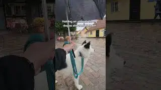 Now I only need to find Rory a mother