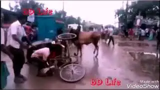Super funny cow attack video!!