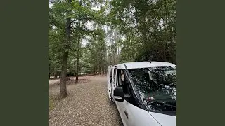Rainvibes