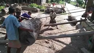 Worlds Dangerous Wood Lifting Techniques/Skilled & Traditional Wood Lifting Ways/Primitive Wood Work
