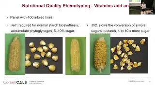 Matt Baseggio: Genetic basis of vitamin and mineral levels in fresh sweet corn kernels