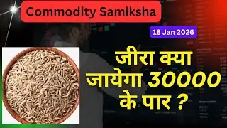 जीरा क्या जायेगा 30000 के पार ?/Cumin Seed Report - Jan 2026/Commodity Samiksha