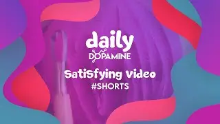Daily Dopamine Satisfying Video | #24