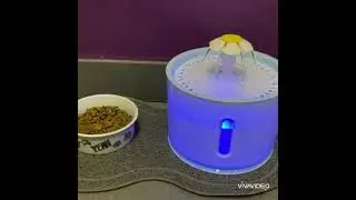 Pawfect Pet Water Fountain