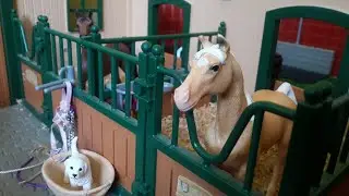 Schleich Pferde allein zu Hause. (INFOBOX!)