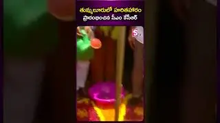 హరితహారం ప్రారంభించిన సీఎం కేసీఆర్ #cmkcr #harithaharam #telangana #2024elections #brs #sumantv