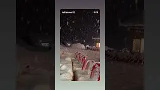 the season of snow ❄️❄️❄️❄️