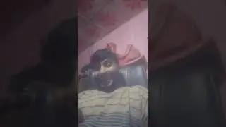 Bangladesh breaking news Adi bhai, 