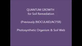 Quantum Growth. How does soil microbes work. (Cara kerja Bakteri tanah)