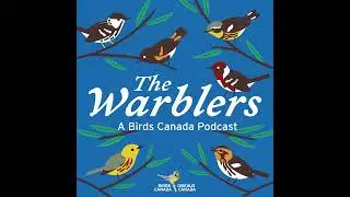 Do birds have feelings? Experts answer your questions