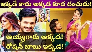 #Most Eligible Bachelor Collections ~ 400,000 USD | Pelli SandaD 2 Days Collections| Akhil | Roshan|