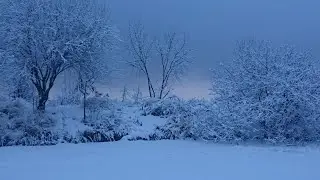 Короп, карась
