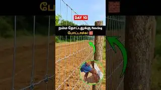 Day 10 | நம்ம தோட்டதுக்கு Fencing போட்டாச்சு 🧱 | Farm Fencing Completed! #kpfarmventures #fencing