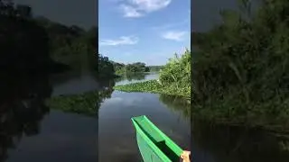 Kalametiya Bird Watching Boat Ride - Place to Visit #shorts #trip #viral #viralreels #viralshort