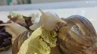 배추주신분 감사합니다 ~^^