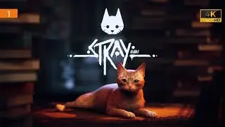 [4K] Stray ➤ Part 1 ➤ Внутри стен | Мертвый город | Квартира ➤ ПРОХОЖДЕНИЕ НА ПК БЕЗ КОММЕНТАРИЕВ