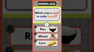 Biggest Ocean Mammal Quiz 🐋🌊Sea Animals & Farming GK | QUIZ 47&ndash;48 🌾Fun & Easy GK Quiz |