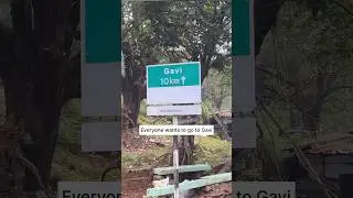 Gavi കാണണ്ടതല്ലാം | Gavi Pathanamthitta | Longest ksrtc Forest Route | #gavi #ksrtc @Jee_vanlife