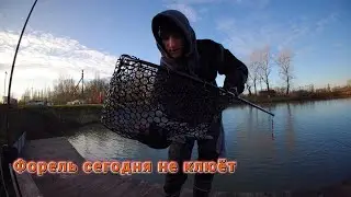 Vlog; Как поймать форель, обловил все снасти...