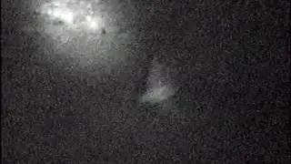Bats at Greywell