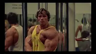Arnold Gangsta Paradise Edit