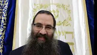הרב עובדיה יוסף | הלכות ברכות | קביעות סעודה במיני מזונות | אובלטים | פיצה