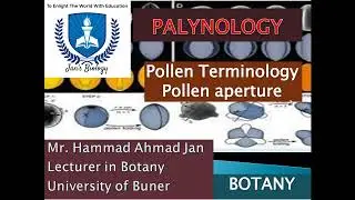 Pollen Apertures Explained | Plant Palynology, Pollen Morphology, BS/MS/PhD Botany