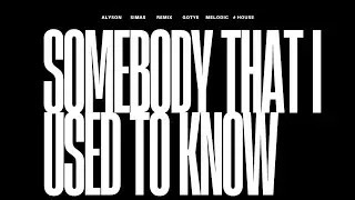 Somebody That I Used To Know (Alyson Simas 2K26) #melodichouse