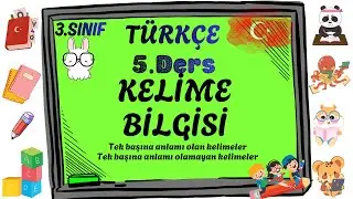 3. Sınıf Türkçe Konu Anlatımı | 5. Kelime Bilgisi
