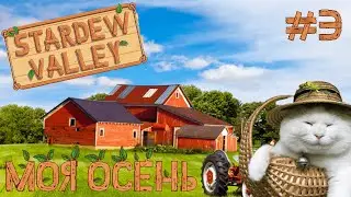 Моя осень в Stradey Welly // #3