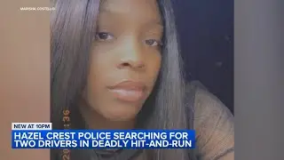 Hazel Crest police looking for hit-and-run drivers who struck woman twice; victim dies of injuries