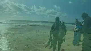 Tauchgänge in Fuerteventura Januar 2026