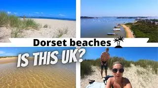 Dorset beaches - Knoll beach and Studland beach - Shell Bay Dorset travel