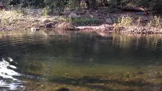 Natural Clear water pond , polo forest, Gujarat