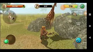 Wild Tiger Simulator Full Gameplay