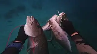 GRENJOB FISH & TREVALLYS