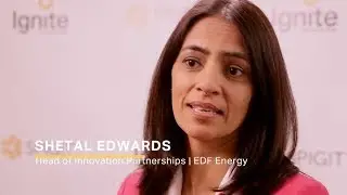 EDF Energy: Turning a Call Center into a Source of Innovation