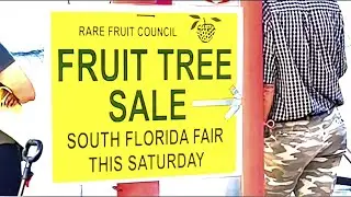 RARE FRUIT TREE SHOW! - South Florida Fairgrounds Expo, Palm Beach County, FL